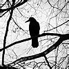 enf stories deviantart|Ravenholm75 .